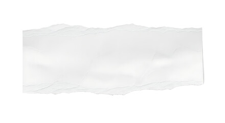 Obraz premium Transparent Torn Paper Texture for Creative Design Projects