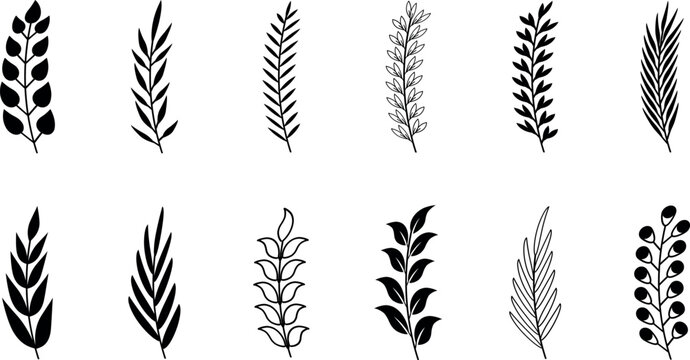 set of wheat ears