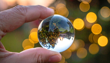 A hand holding a crystal ball with a reflection of trees and lights in the background
