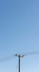 Power lines with flock of birds flying against clear blue sky minimalist composition
