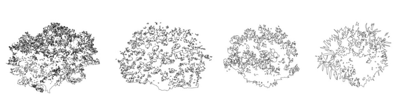 Vector set of shrubs and bushes in elevation view for use in architectural drawings 