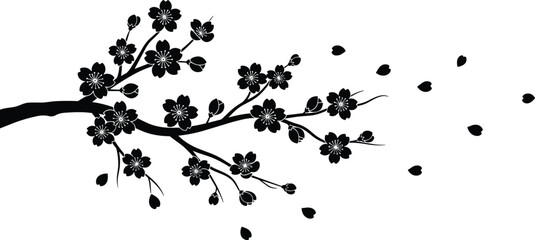Black cherry blossom branch silhouette with falling petals, floral sakura design, elegant nature illustration, vector art isolated on white background © Hello World