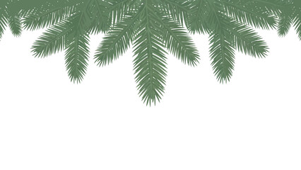 Obraz premium Palm fronds over white background close up.