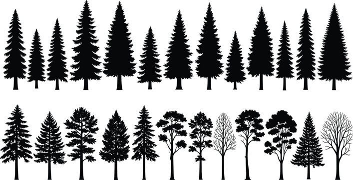 Black pine and conifer tree silhouettes collection, spruce, fir and deciduous trees, forest nature design elements isolated on white background
