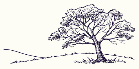 Fototapeta premium A solitary tree standing on a gentle slope in a minimalist landscape sketch