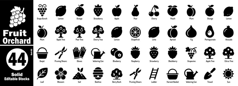Fruit orchard solid icons. Plum apple tree pear cherry lemon apricot fig vector illustration.