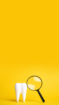 Zahnmodell mit Lupe auf gelbem Hintergrund
