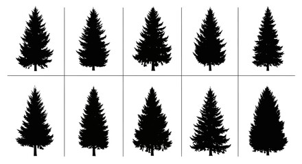 Collection of various pine tree silhouettes in different shapes and sizes on white background