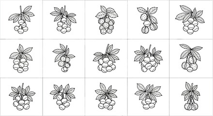 Blackberry illustrations in grid line art of 12 blackberry clusters with leaves on white background simple drawing for design use
