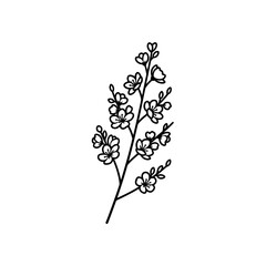 Fototapeta premium Minimalist Line Art Drawing of a Delicate Flowering Branch.