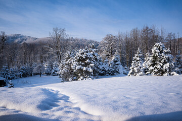 Piękny zimowy ogród z widokiem na góry © kubikactive