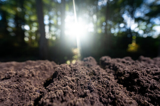 Soil and organic fertilizer concept. Farming with soil. Earth care and melioration. Natural fertile soil.