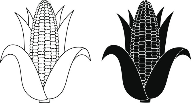 Corn cob icon collection maize vegetable agricultural vector illustration set