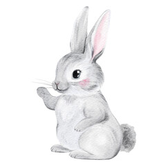 Obraz premium Cute Grey Watercolor Bunny Isolated on White