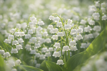 朝露に包まれる可憐なすずらんの花