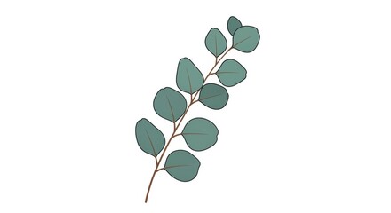 Obraz premium Minimalist illustration of a eucalyptus branch with round blue-green leaves and a brown stem on a light background.