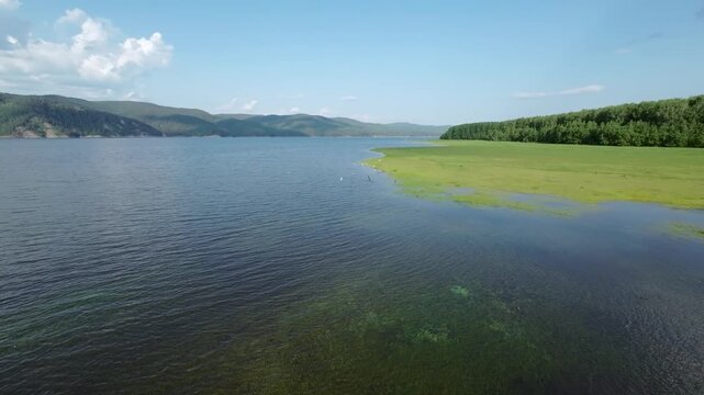 Lake shore, flight of wild birds over water, aerial shot