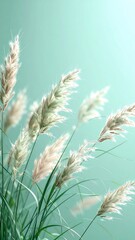 Elegant Beige Plumed Pampas Grass Against a Light Green Gradient Background