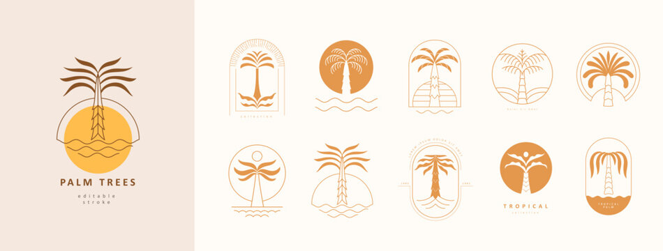 Set of simple geometric palm tree icon or logo designs. Summer tropical design elements and vacation emblems for resort, travel and beauty