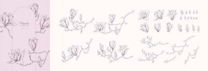 Set of magnolia blooming, flowers and brunch. Spring Detailed background with botanic floral elements for Valentines day invitation, wallpaper art or save the date card © merfin