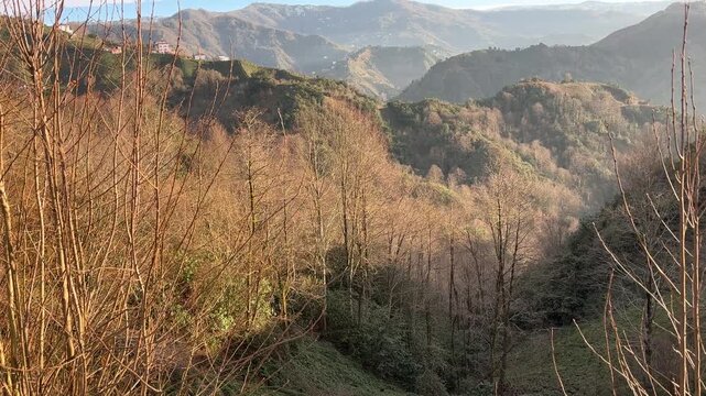 A view from one of the mountain villages in Rize, Turkey.