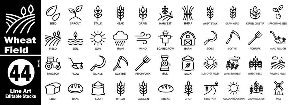 Wheat field line art editable stock icons. Agriculture and farming vector illustration.