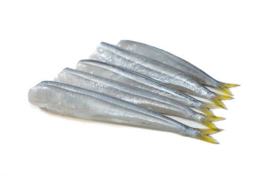 Fresh raw silverside fish (known as pejerrey) isolated on white background