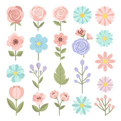 Obraz premium Collection of Delicate Spring Flowers and Leaves, Vector Illustration