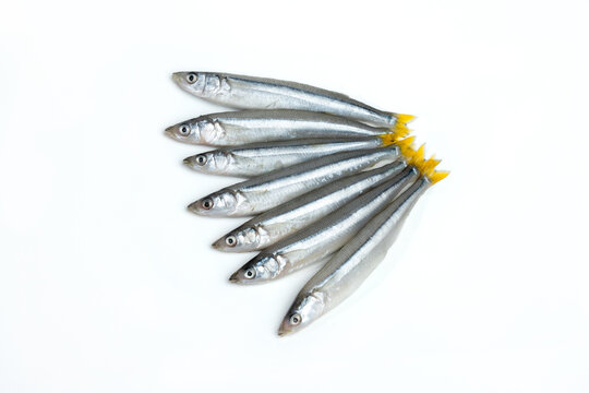 Fresh raw silverside fish (known as pejerrey) isolated on white background