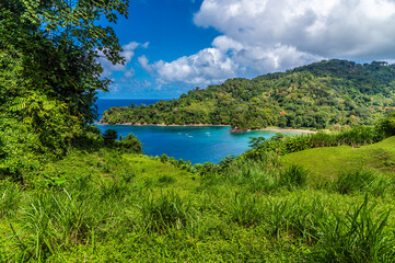 A view down grassy slopes into Charlotteville Bay in Tobago on a bright day in January