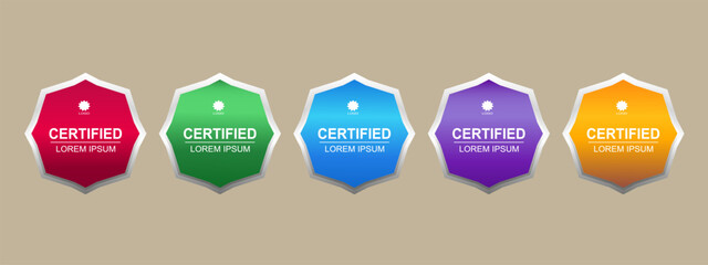 Premium Certificate Badge Hexagon Template Vector Illustration