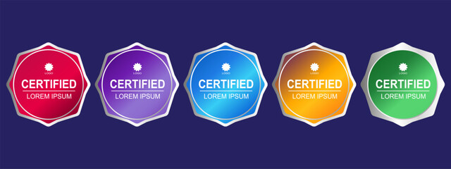 Premium Certificate Badge Hexagon Template Vector Illustration
