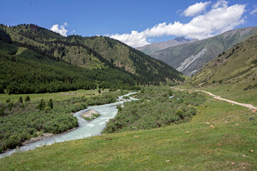 Fast mountain river flowing through a lush green valley with spruce forests and high peaks in Kyrgyzstan Central Asia