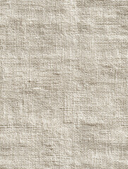 Minimalistic White Paper Texture