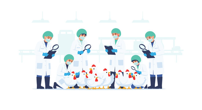 Six scientists in white lab coats and protective gear use magnifying glasses and clipboards to examine white chickens in a clean industrial laboratory setting.