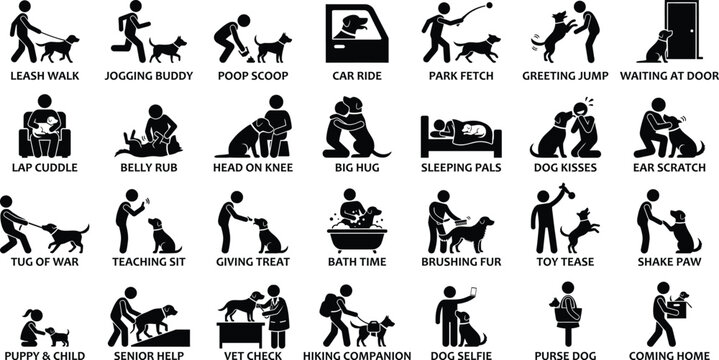 Dog ownership icons showing daily pet care activities and human animal bond in a minimalist flat vector pictogram style