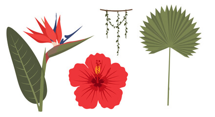 Vibrant tropical plants illustration set Bird of Paradise hibiscus fan palm leaf and hanging vines.