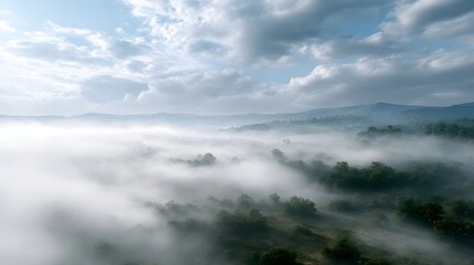 Obraz premium Serene aerial view of rolling hills and dense forest shrouded in thick ethereal morning fog under a partly cloudy sky