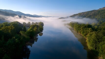 Naklejka premium Misty river landscape with lush trees and clear sky at dawn