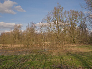 Fototapeta premium winter marsh landscape in Damvallei nature reserve, Ghen, Flanders, Belgium
