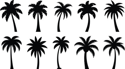 Fototapeta premium Palm tree silhouettes set, tropical coconut trees collection, summer beach nature elements, exotic plants isolated on white background