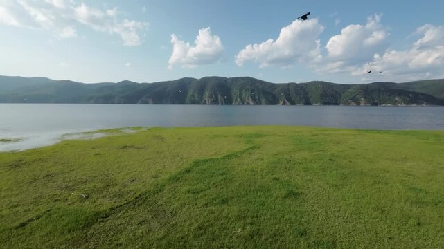 A lake in a national park in summer, birds flying over the water, filmed with a drone
