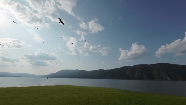 A lake in a national park in summer, birds flying over the water, filmed with a drone

