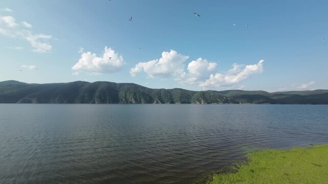 A lake in a national park in summer, birds flying over the water, filmed with a drone
