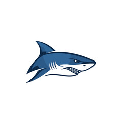 Obraz premium Blue shark fin emerging from ocean water surface on white background