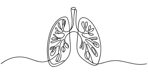 lungs continuous one line drawing, Continuous single line drawing of human lungs with editable stroke. Minimal one line art style vector, Human lungs organ one continuous line art, Vector illustration © Parboti