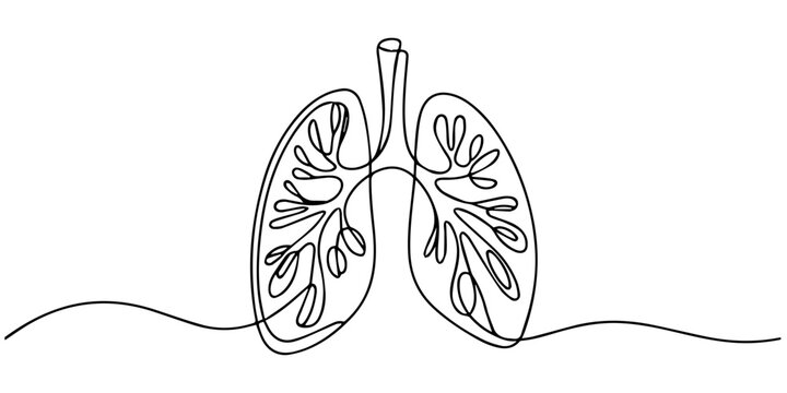 lungs continuous one line drawing, Continuous single line drawing of human lungs with editable stroke. Minimal one line art style vector, Human lungs organ one continuous line art, Vector illustration