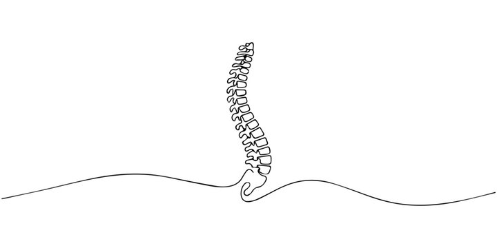 Illustration of human spinal column back view with vertebrae alignment. No editable stroke, spine continuous one line drawing, Continuous one line drawing bones of human hand. Wrist bones in single