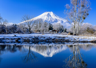 富士山と雪景色