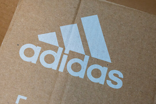 adidas gazelle silver green womens Adidas Box Hog 2 Boxing Shoes